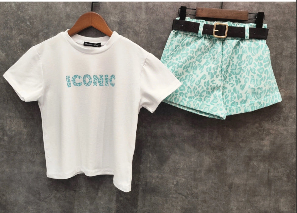 Ensemble IConic